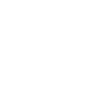 light logo